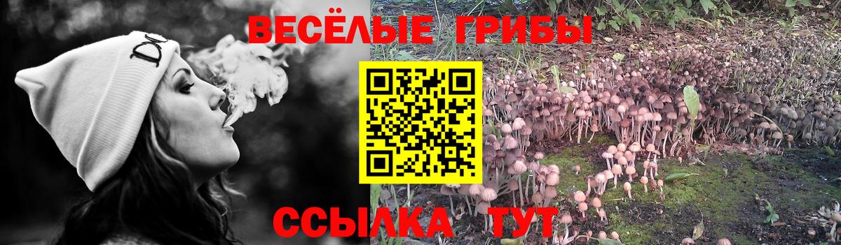 Галлюциногенные грибы мицелий  Вход с VPN  Фролово 